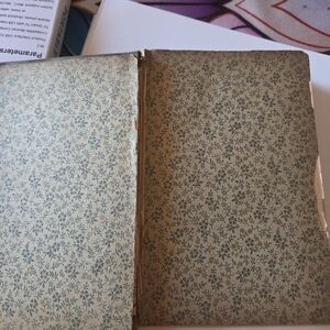 Edgar Allen Poe 1893 Poetical Works